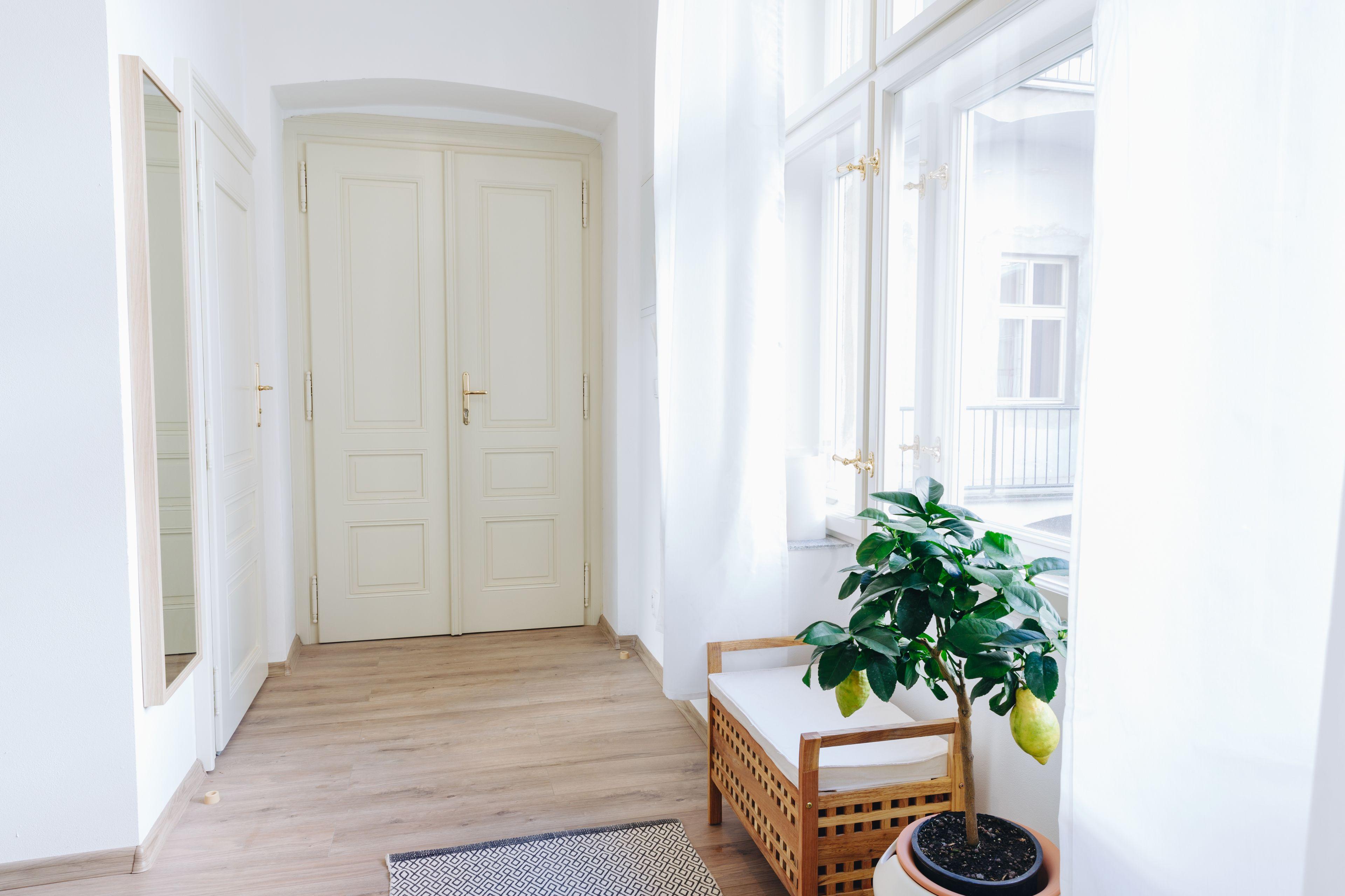 Chill Apartments