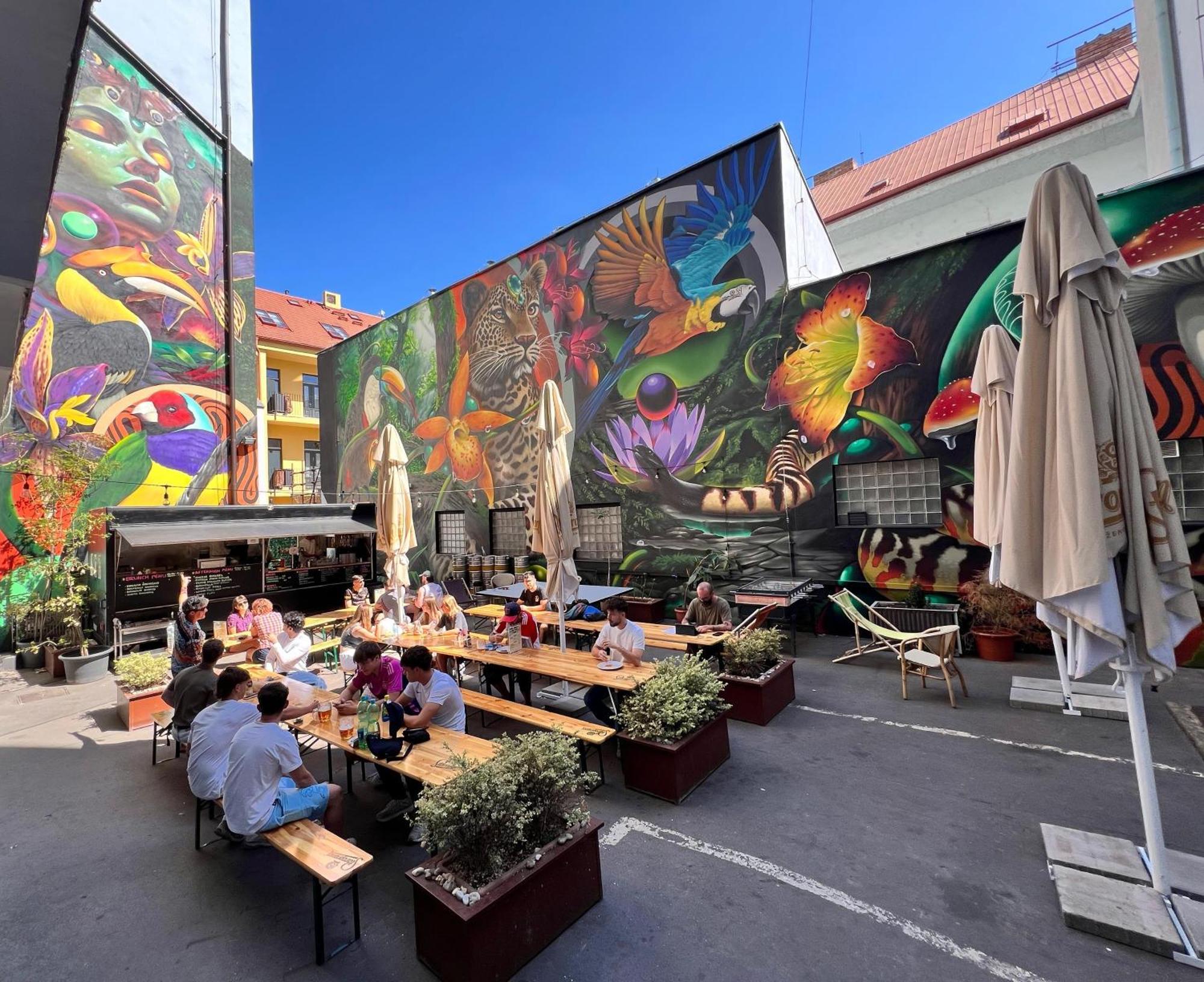 Drunken Monkey Hostel